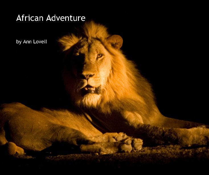 View African Adventure by Ann Lovell