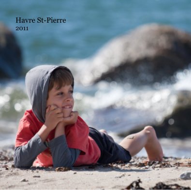 Havre St-Pierre 2011 book cover