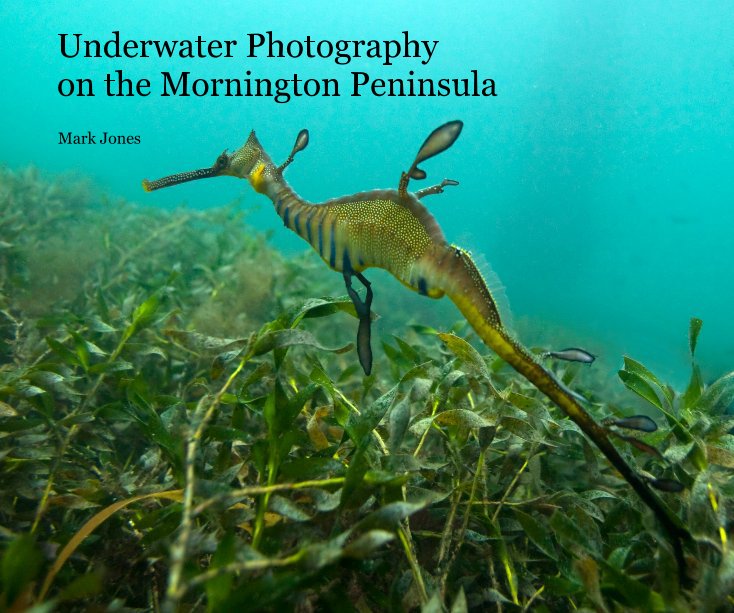 Bekijk Underwater Photography on the Mornington Peninsula op Mark Jones