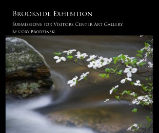 Brookside Exhibition book cover