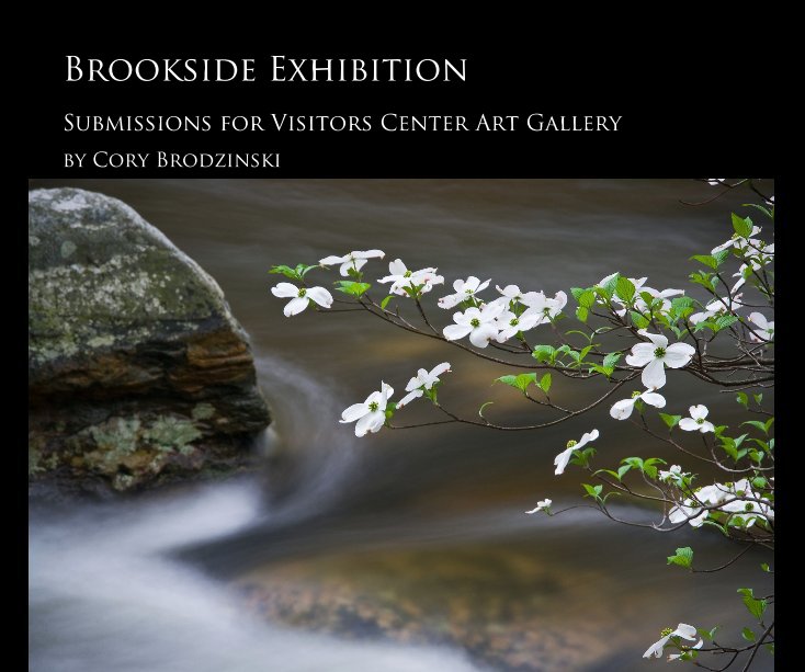 View Brookside Exhibition by Cory Brodzinski