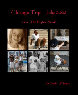 Chicago Trip July 2008 book cover