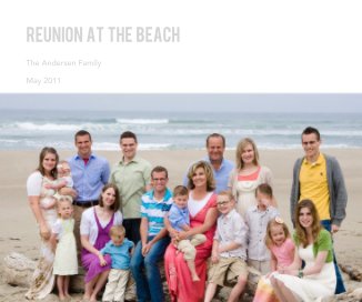 Reunion at the beach book cover