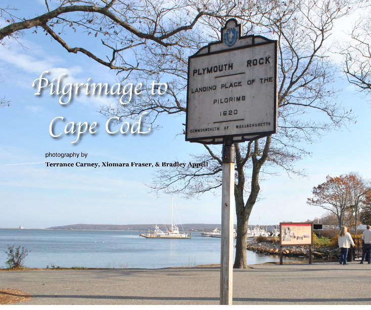 View Pilgrimage to Cape Cod by Terrance Carney