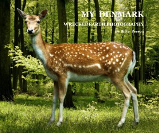 MY DENMARK book cover