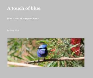 A touch of blue book cover