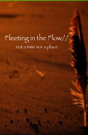 Fleeting in the Flow// book cover