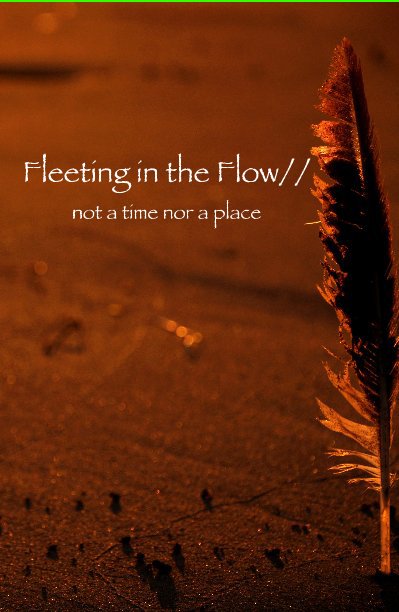 View Fleeting in the Flow// by David Manuel Sabio
