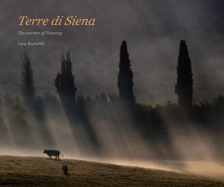 Terre di Siena book cover