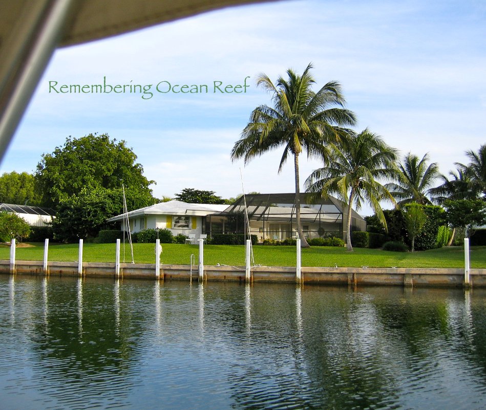 View Remembering Ocean Reef by Dallas C. Dort