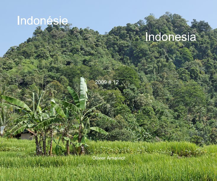 View Indonésie by Olivier Amalvict