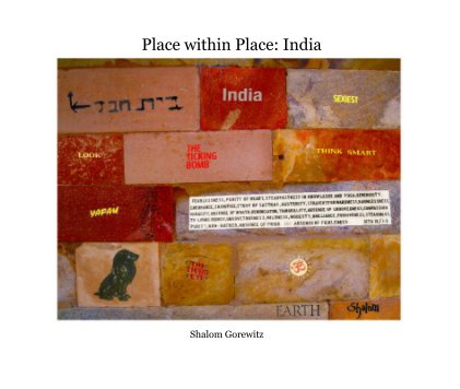 Place within Place: India book cover