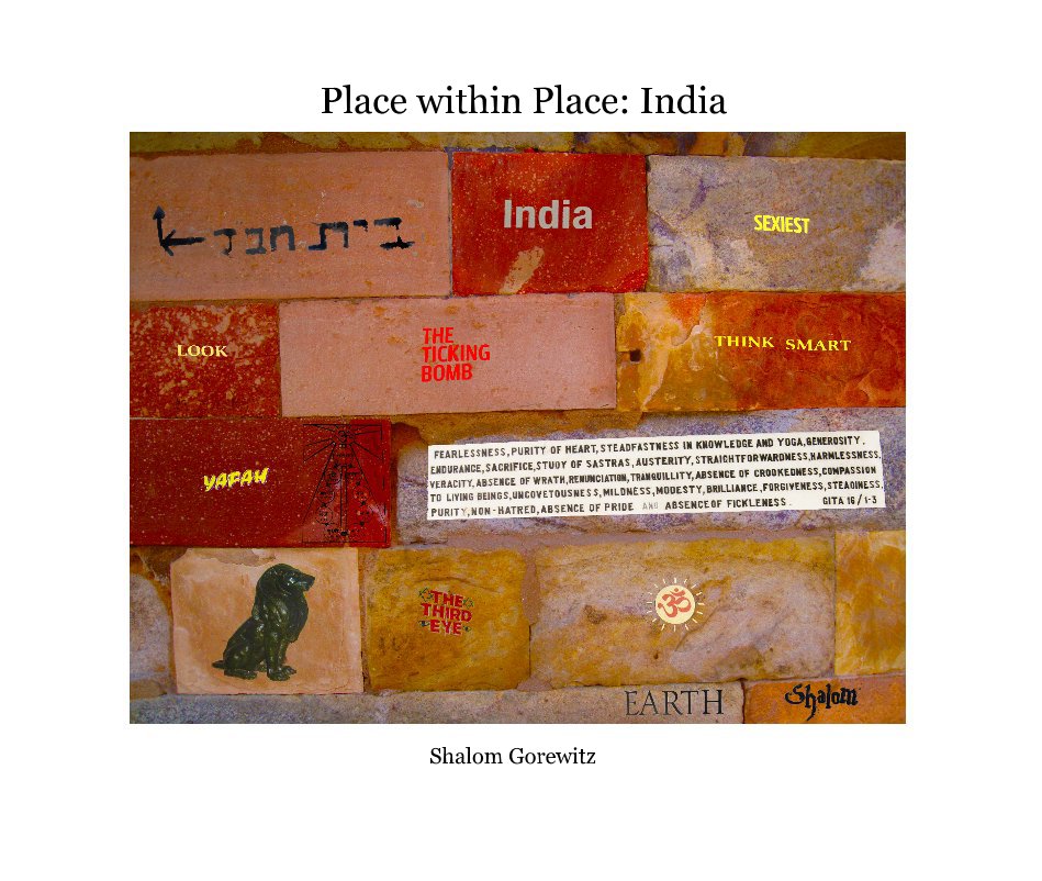 View Place within Place: India by Shalom Gorewitz
