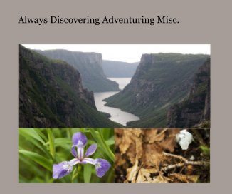 Always Discovering Adventuring Misc. book cover