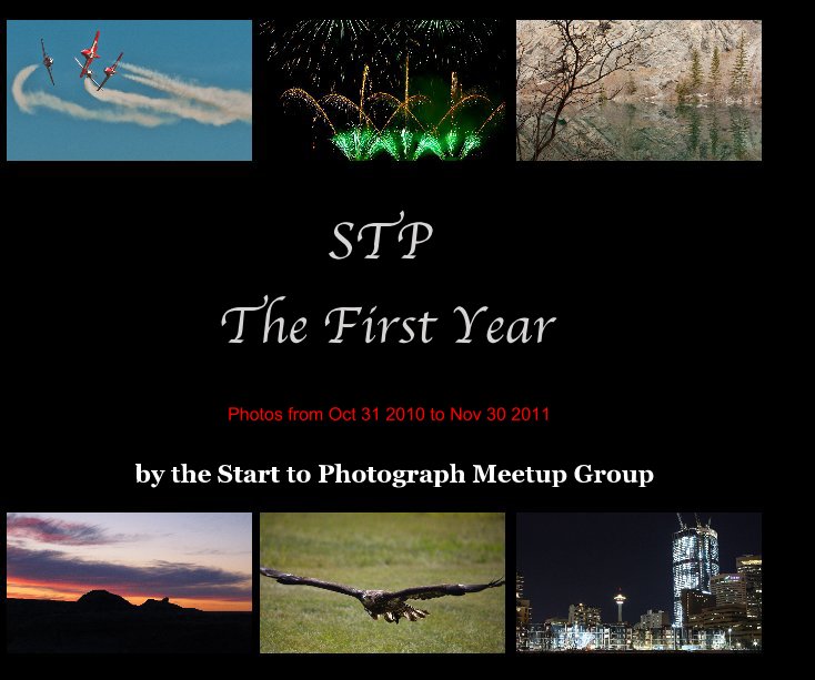 View STP The First Year
rev. edition. by the Start to Photograph Meetup Group