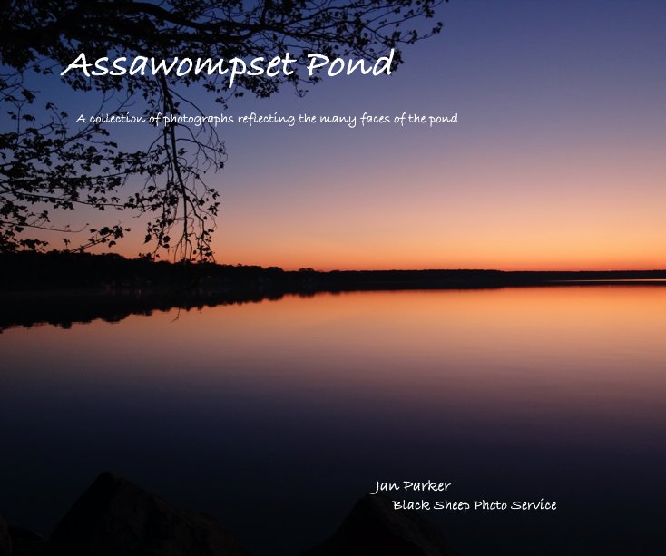 View Assawompset Pond by Jan Parker Black Sheep Photo Service