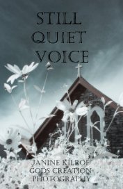 STILL QUIET VOICE book cover