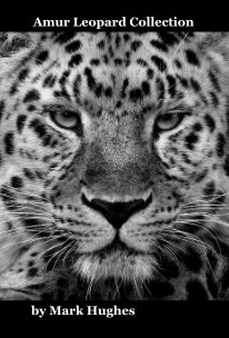 Amur Leopard Collection book cover