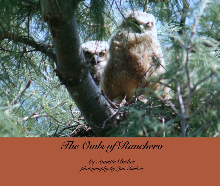 View The Owls of Ranchero by Annette Bisbee
