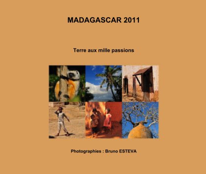 MADAGASCAR 2011 book cover