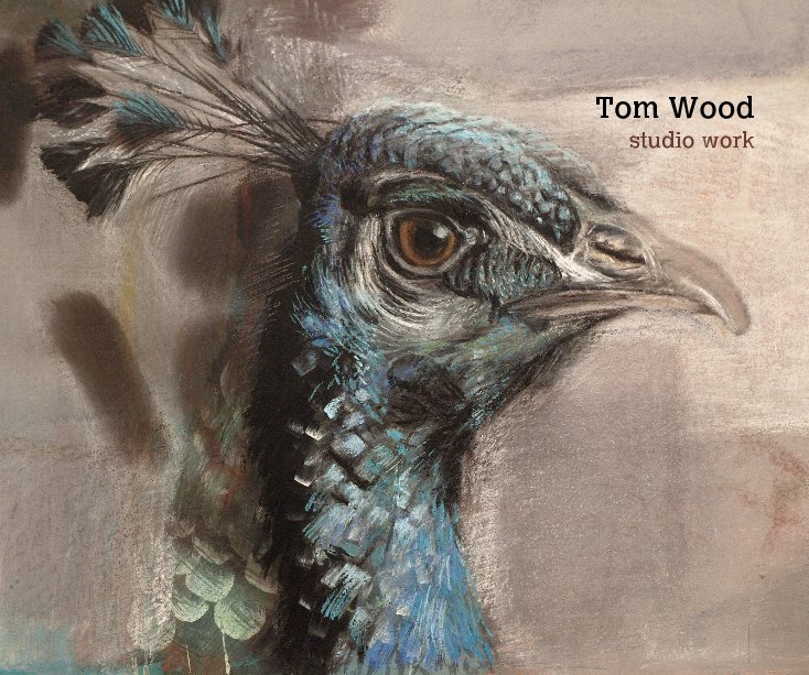 Ver Tom Wood studio work por Tom Wood studio work