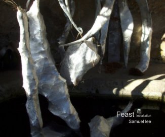 Feast (Installation) book cover