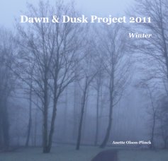 Dawn & Dusk Project 2011 Winter book cover