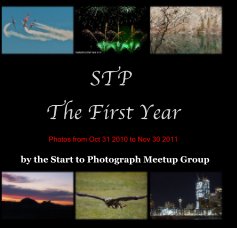 STP The First Year (square) book cover