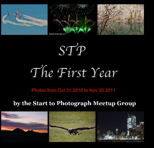 View STP The First Year (square) by the Start to Photograph Meetup Group
