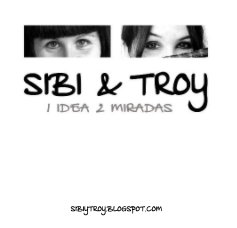 Sibi&Troy { 2011 } book cover