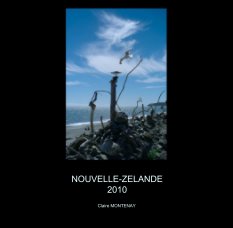NOUVELLE-ZELANDE
2010 book cover
