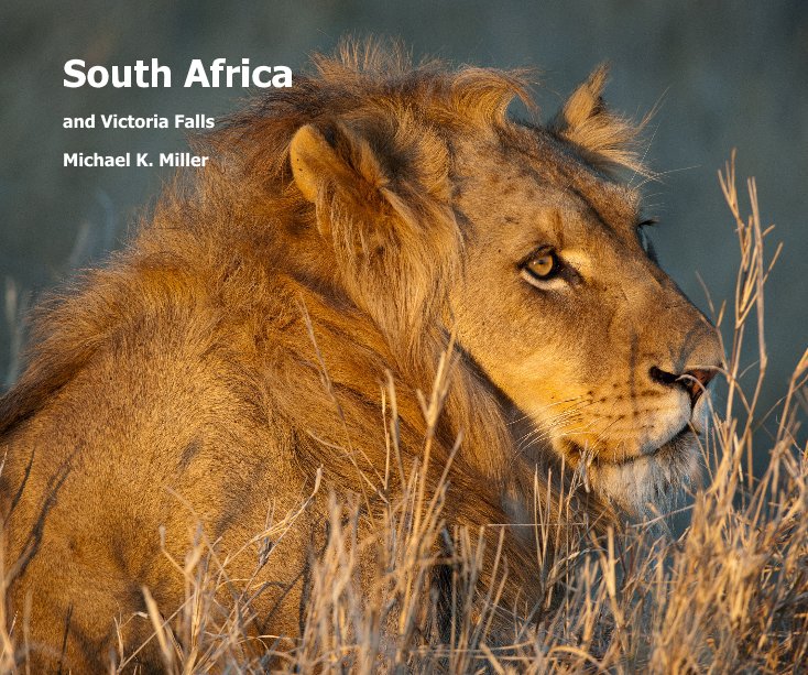 View South Africa by Michael K. Miller