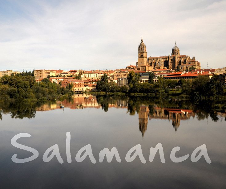 View Salamanca by Mário Zogheb