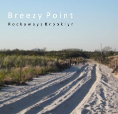 Breezy Point book cover