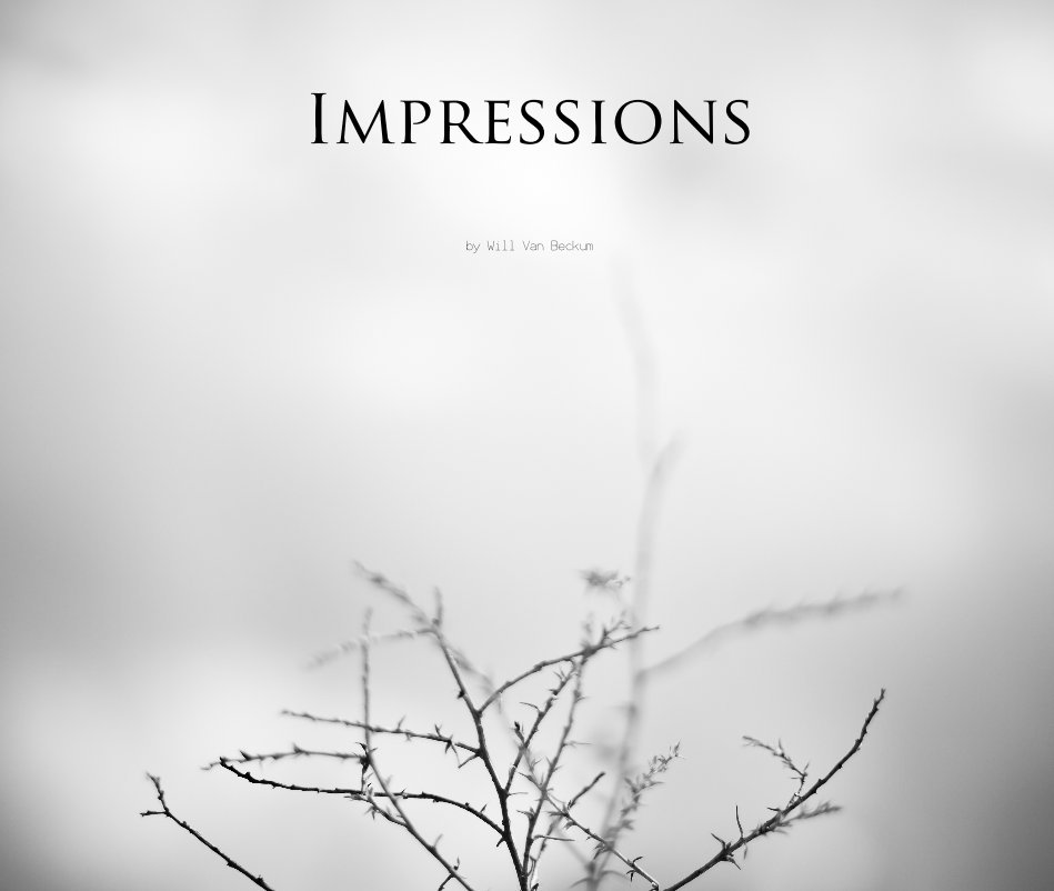 View Impressions by Will Van Beckum