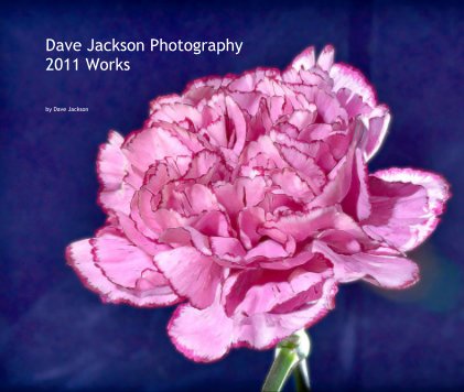 Dave Jackson Photography 2011 Works book cover