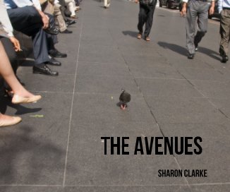 The avenues book cover