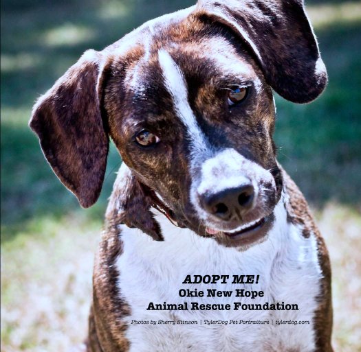 Adopt Me! by Sherry L. Stinson. Dogs available for adoption with Okie New Hope  Animal Rescue Foundation in Bartlesville, OK. Photography by Sherry  Stinson, TylerDog Pet Portraiture, . | Blurb Books