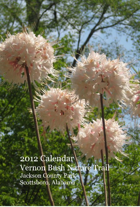 2012 Calendar nach Keith Bush anzeigen