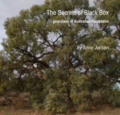 The Secrets of Black Box
(small size) book cover
