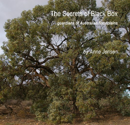 View The Secrets of Black Box
(small size) by Anne Jensen