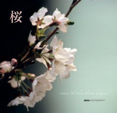 Sakura book cover