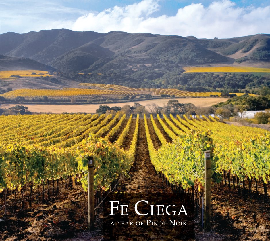 View Fe Ciega: A Year of Pinot Noir by Michelle Ball