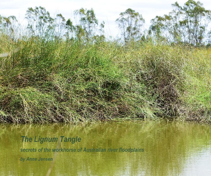 Ver The Lignum Tangle
(A4 size) por Anne Jensen