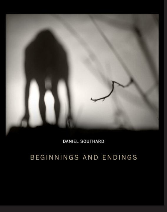 Beginnings and Endings Paperback nach Daniel Southard anzeigen