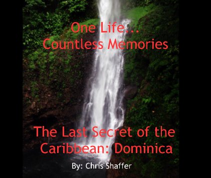One Life... Countless Memories book cover
