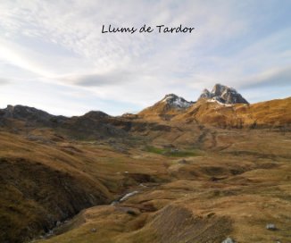Llums de Tardor book cover