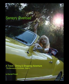 Sensory Overload book cover