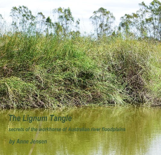 Ver The Lignum Tangle
(small size) por Anne Jensen