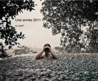 Une année 2011 book cover